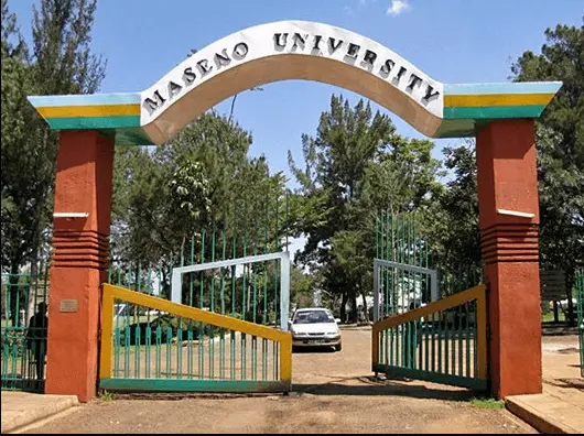 Maseno University diploma courses, requirements, application