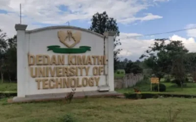 Dedan Kimathi University of Technology Courses (Diploma, Certificate, Degree)