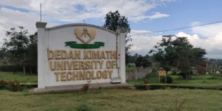 Dedan Kimathi University of Technology undergraduate, diploma and certificate courses