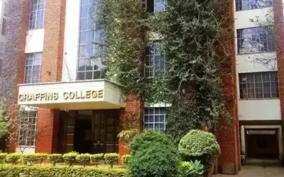 Graffins College Diploma and Certificate Courses