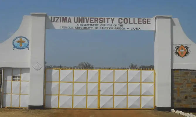 Uzima University courses