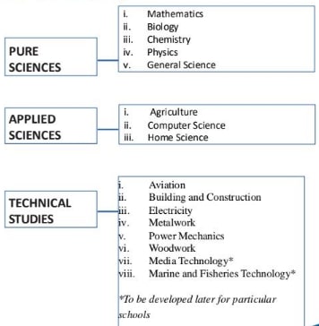 Senior secondary school stem subjects.